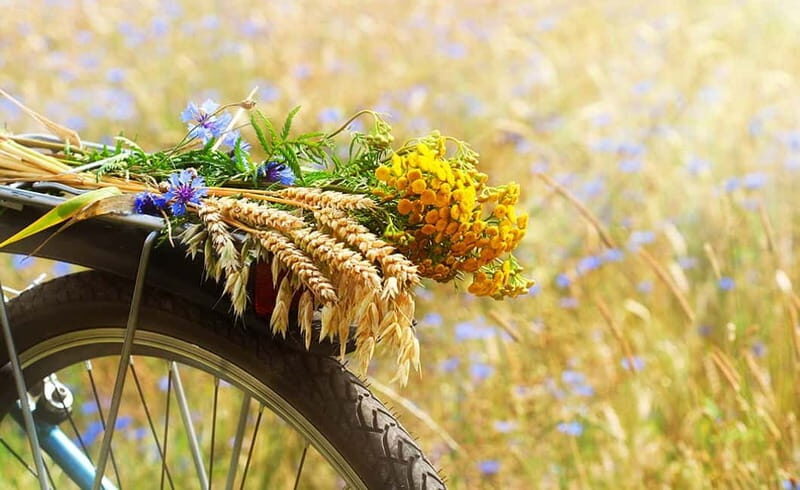 From Siena: Chianti Electric Bike Tour - Winery stop, light lunch, and wine tasting that fits the day