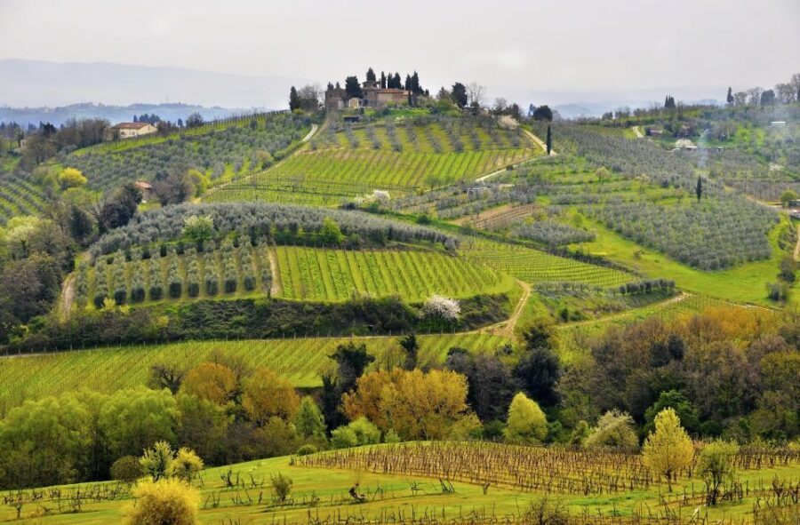 From Siena: Chianti Electric Bike Tour - Monteriggioni finish: a medieval send-off from the saddle