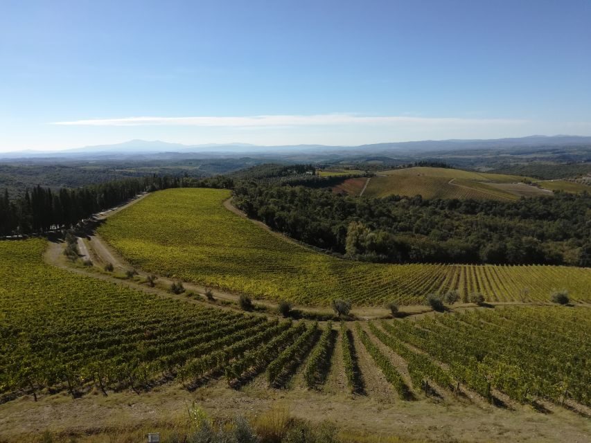 From Siena: Chianti Wine Tour with Lunch - Key Things You’ll Notice on This Chianti Day Tour