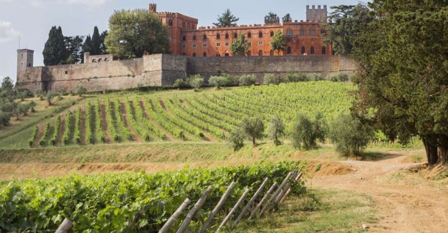 From Siena: Chianti Wine Tour with Lunch - Meeting at Piazza San Domenico and Getting to the Minivan