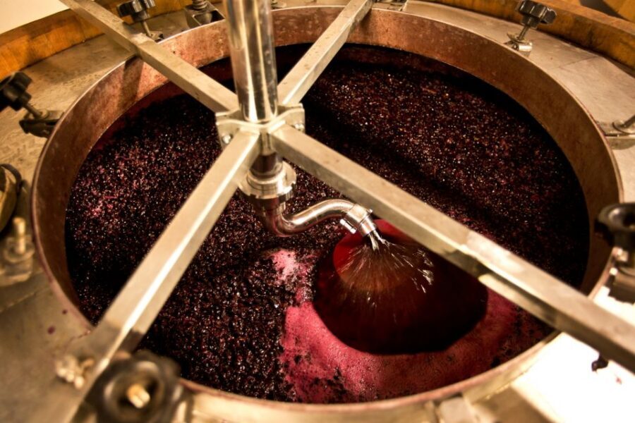 From Siena: Chianti Wine Tour with Lunch - Traditional Tuscan Lunch With Wine: More Than a Pause