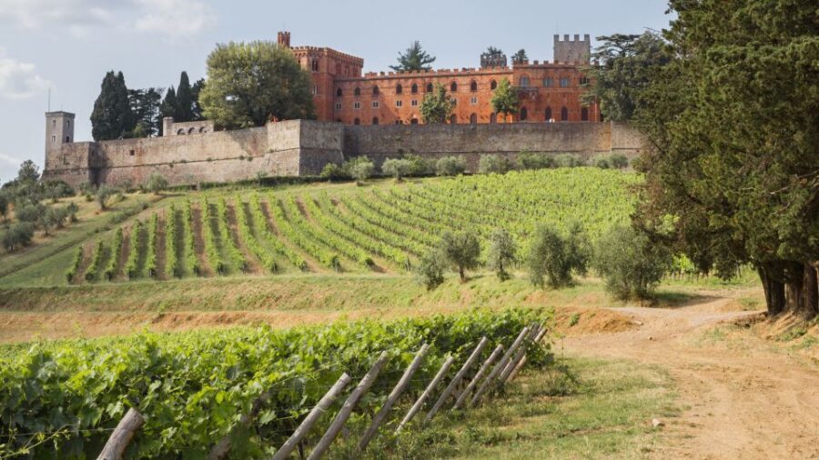 From Siena: Chianti Wine Tour with Lunch - Who This Small-Group Siena Wine Tour Is Best For