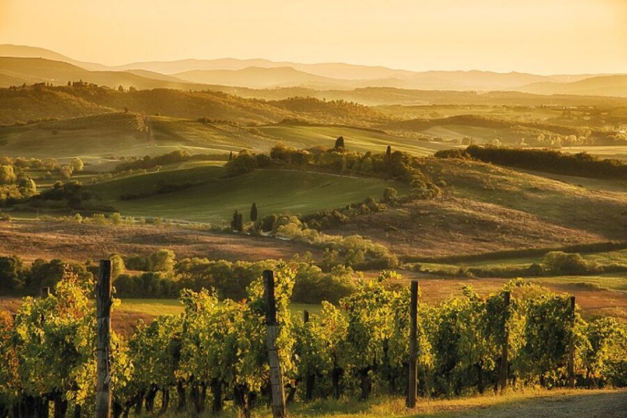 From Siena: Day Tour in a Vintage Fiat 500 with Winery - Stop 4: Winery Time for Wine Tasting and Local Snacks