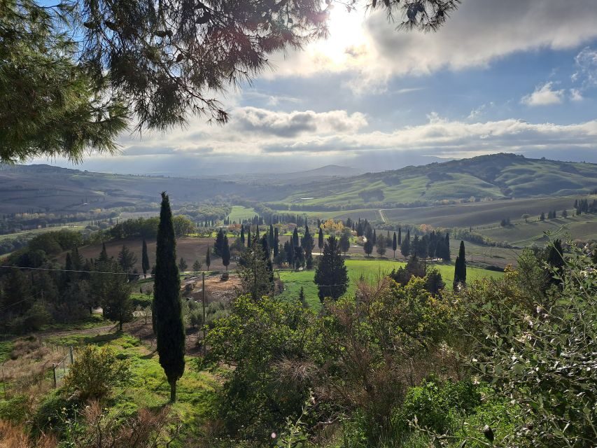 From Siena: Pienza and Montepulciano Small-Group Tour - Crete Senesi to Val d’Orcia: the drive that sets the tone
