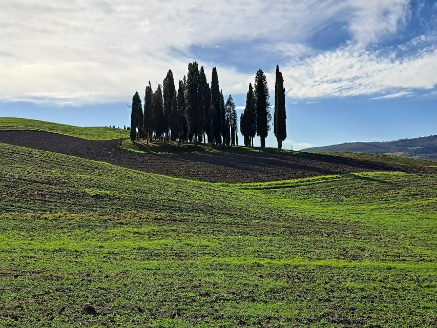 From Siena: Pienza and Montepulciano Small-Group Tour - Who this tour suits best