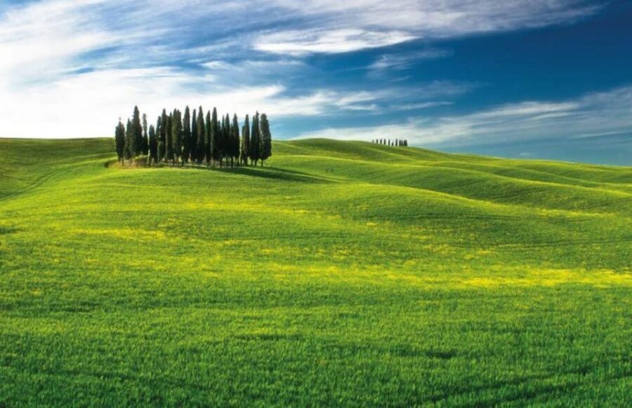 From Siena: San Gimignano, Chianti, and Montalcino Day Trip - San Gimignano: Towers, Vernaccia, and Time to Wander