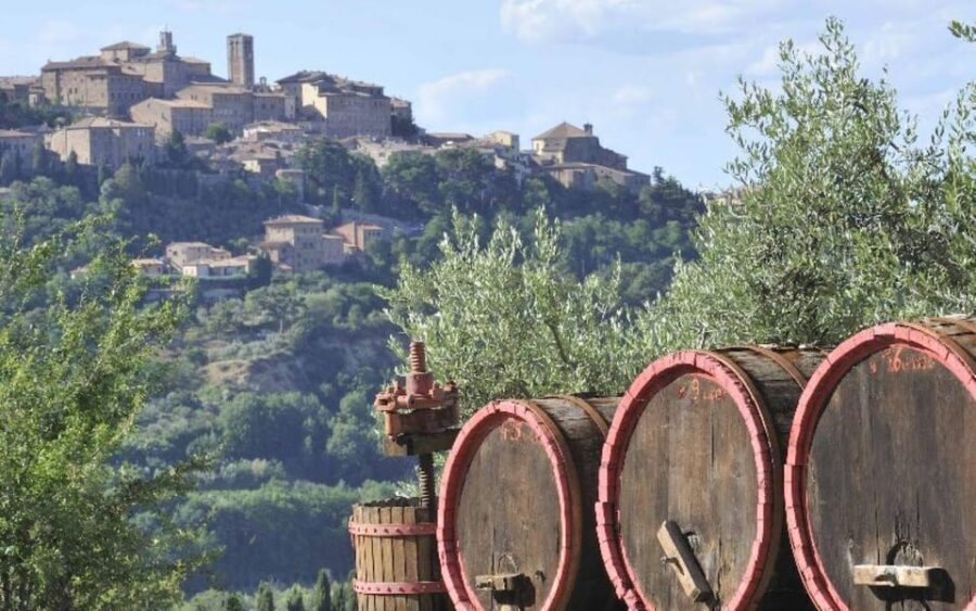 From Siena: San Gimignano, Chianti, and Montalcino Day Trip - Montalcino: Fortress Town, 1500-Hectare Brunello Country, and Real Tastings
