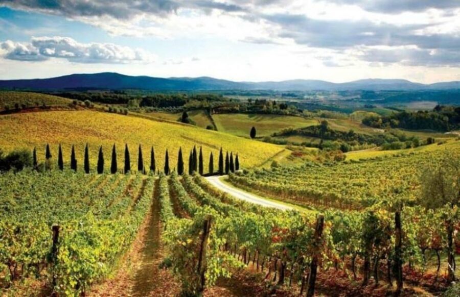 From Siena: San Gimignano, Chianti, and Montalcino Day Trip - The 11-Hour Pace: How the Day Actually Feels