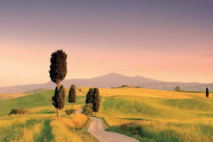 From Siena: Tuscany Hills Wine Tour - What’s included, what’s not, and how to judge the $146.14 price