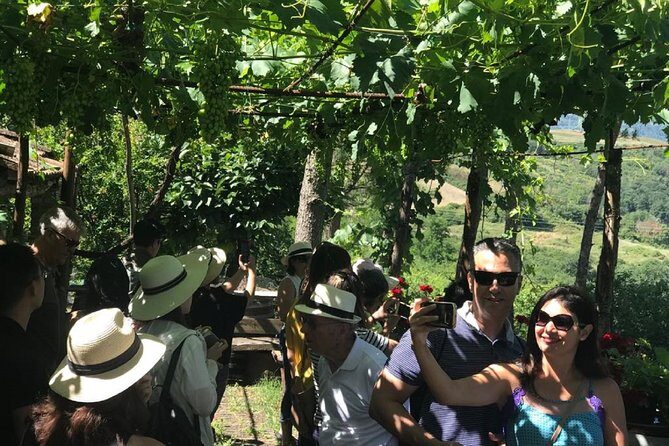 Full-Day Chianti Tour by Vespa Scooter from San Gimignano - Stop 3: Monteriggioni Free Time for Medieval-Walled Wandering