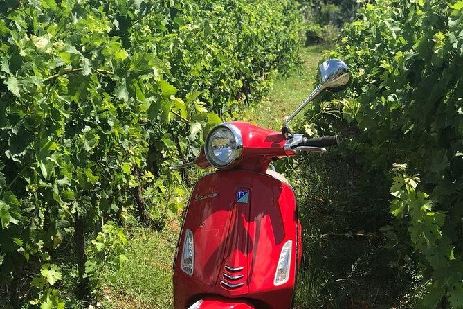 Full-Day Chianti Tour by Vespa Scooter from San Gimignano - Driving vs Riding: Choosing the Right Comfort Level