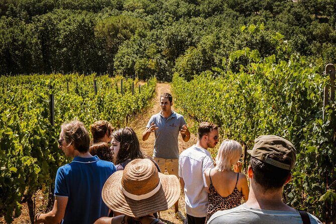 Guided tour of the cellars with wine tasting and lunch - Wine Tasting Style: Multiple Pours With Food, Not a Soda-Crack Menu