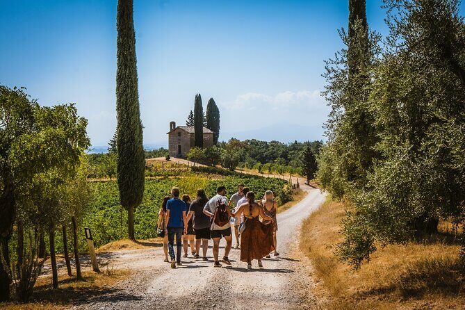 Guided tour of the cellars with wine tasting and lunch - Stop 2: Walking the Cellars From Vinification to Bottle Aging