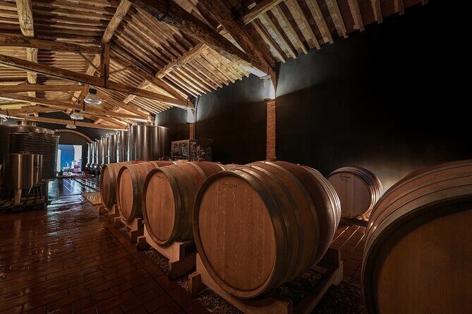 Guided Winery Tour and Wine Tasting in Siena - Why this Siena wine tour feels different from a quick tasting
