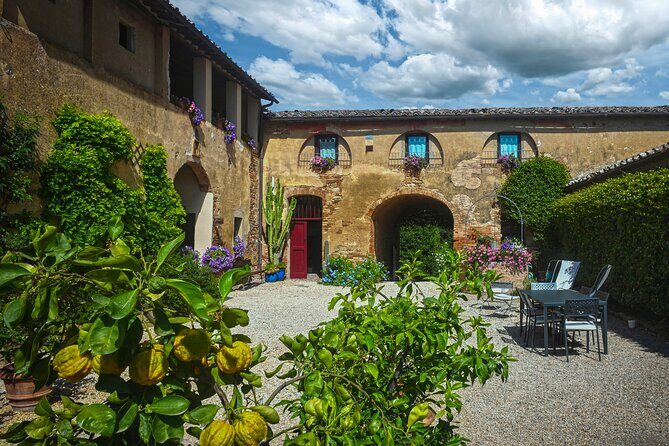 Guided Winery Tour and Wine Tasting in Siena - Price and what you really get for $90.51