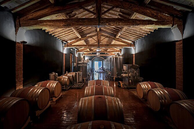 Guided Winery Tour and Wine Tasting in Siena - Stop 3 in the tasting room: 5 organic wines, seasonal pairing, and olive oil