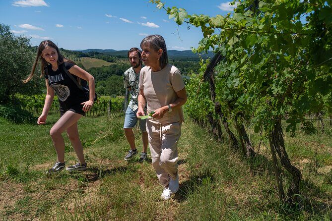 Guided Winery Tour and Wine Tasting in Siena - Getting to Azienda Agricola La Lastra (and why the 4:00 pm start helps)