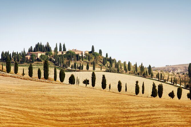 Hidden Castles & Chianti Wine Experience– Small Group - Chianti Wine Tour From Siena: The Simple Pitch