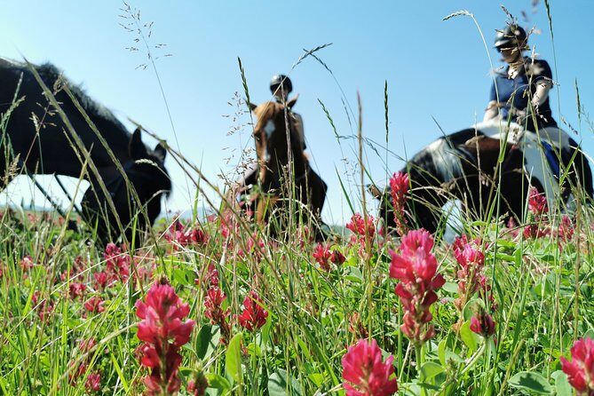 Horsebackriding - explore Tuscan nature - Key things to know before you go