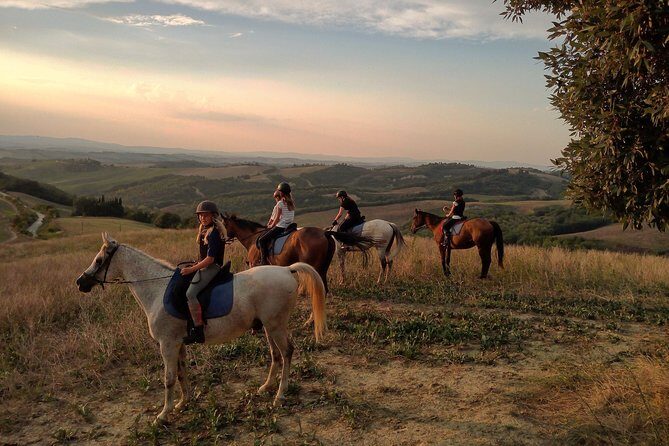 Horsebackriding - explore Tuscan nature - Following the trails: Crete Senesi and Val d’Arbia for about 2 to 2.5 hours