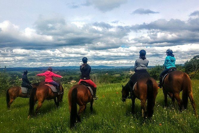 Horsebackriding - explore Tuscan nature - The guides’ style: calm instruction and patient handling