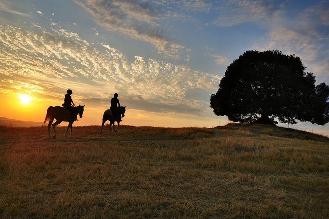 Horsebackriding - explore Tuscan nature - Price and value for $102.12: what you’re really paying for