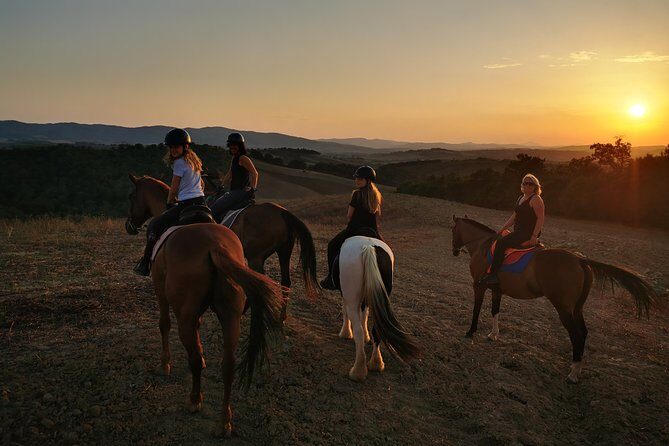 Horsebackriding - explore Tuscan nature - First stop: stables, horses, helmets, and your beginner briefing