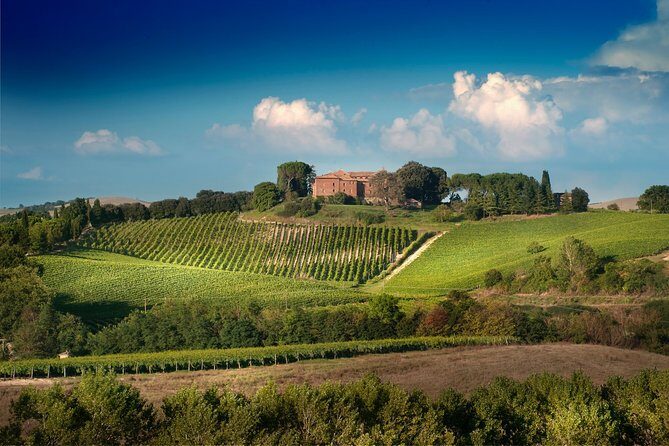 Montalcino: Brunello Wine Tasting Experience - Castello Tricerchi: medieval walls, real Tuscan views, and a smooth intro