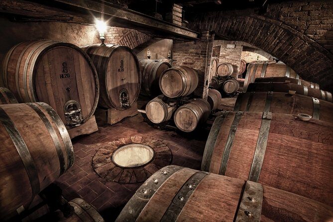 Montalcino: Brunello Wine Tasting Experience - Snacks and pacing: bread sticks are included, not a full meal