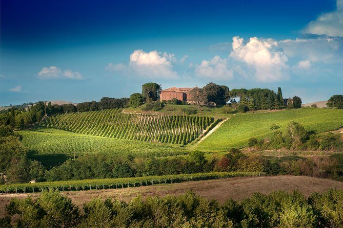 Montalcino Castle and Vineyards tour with tasting - First impressions at Castello Tricerchi (and how to show up)