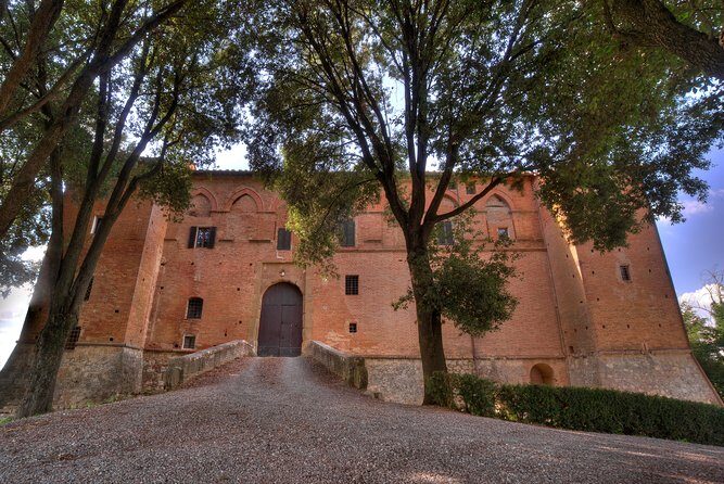 Montalcino Castle and Vineyards tour with tasting - The tasting: Brunello, Rosso, and Toscana IGP in a historic room