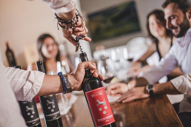 Montalcino Castle and Vineyards tour with tasting - Price and value for a 1-hour Brunello stop