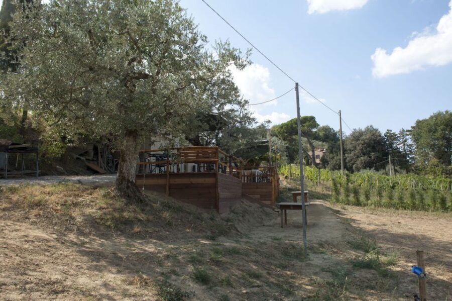 Montepulciano: Cinta Senese Tour With Food Tasting - Who Should Book This and Who Might Skip It