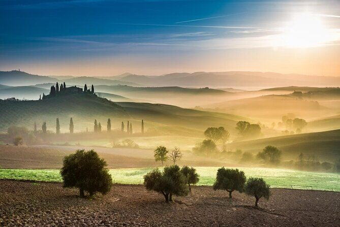 Pienza, Val d'Orcia, Montalcino wine and Pecorino cheese PRIVATE TOUR from SIENA - Key Highlights You’ll Feel Immediately