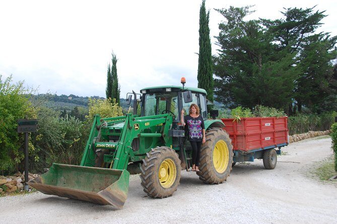 Pienza, Val d'Orcia, Montalcino wine and Pecorino cheese PRIVATE TOUR from SIENA - Passing Montalcino Town: Why That Quick Stop Isn’t Just Window Dressing