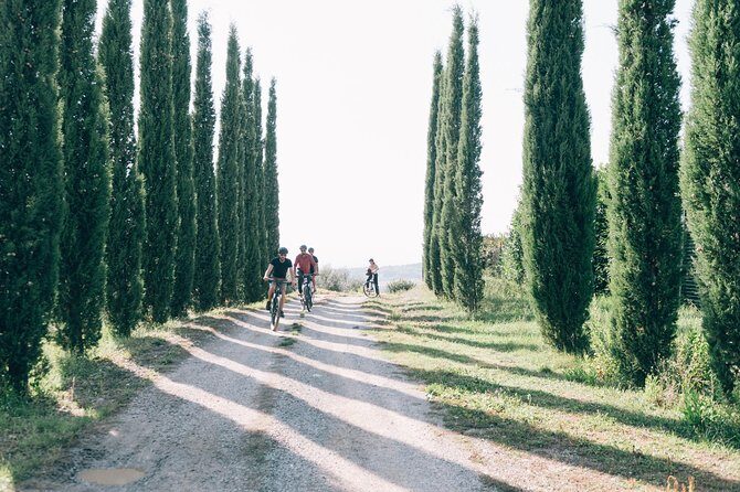 Private Ebike Tour in Chianti - Guides make the difference: Tommaso, Samuel, Filipo