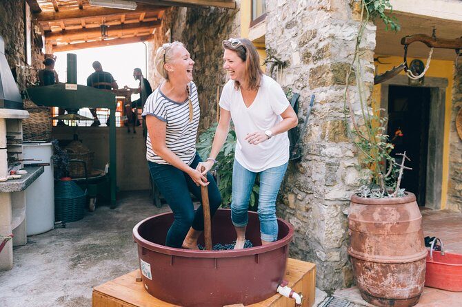 Private Grape stomping at Chianti Farmhouse - Key Highlights at a Glance