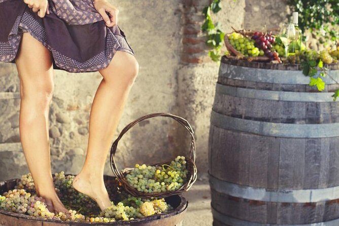 Private Grape stomping at Chianti Farmhouse - Traditional Grape Stomping That Actually Feels Like Tuscany