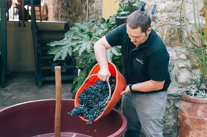 Private Grape stomping at Chianti Farmhouse - A Family Farm Story: Wine, Cellar Roots (Since 1825), Olive Oil, Honey