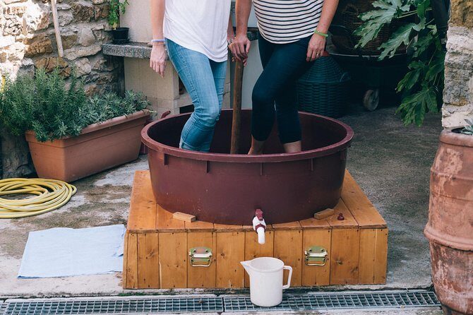 Private Grape stomping at Chianti Farmhouse - Wine and Olive Oil Pairing: Taste Like You’re Learning the Language