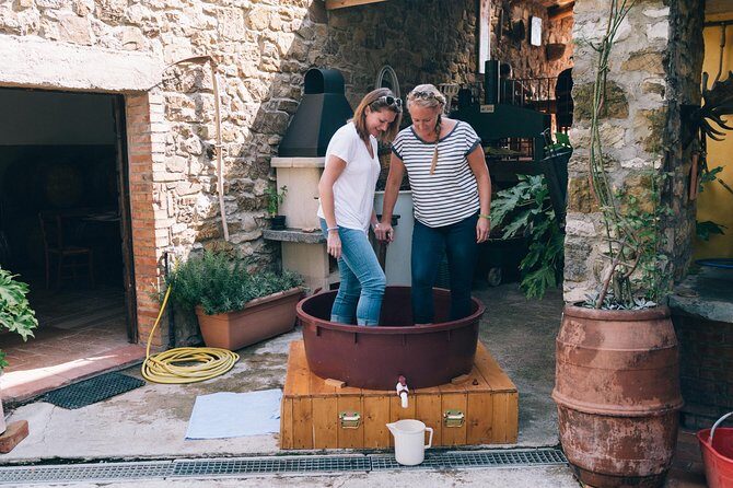 Private Grape stomping at Chianti Farmhouse - Price and Value: What $384.11 Buys You in the Chianti Hills
