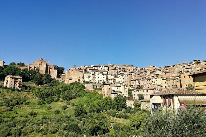 Private Guided Tour of Siena with a Licensed Local Tour Guide - Key highlights you’ll feel right away