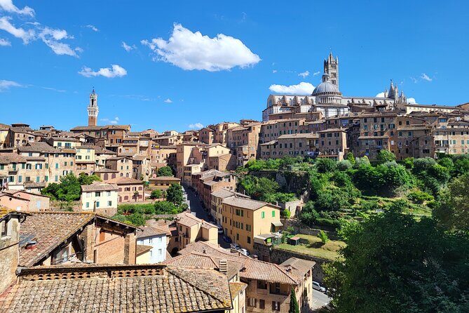 Private Guided Tour of Siena with a Licensed Local Tour Guide - Il Campo and the Palio Connection: Why This Square Matters