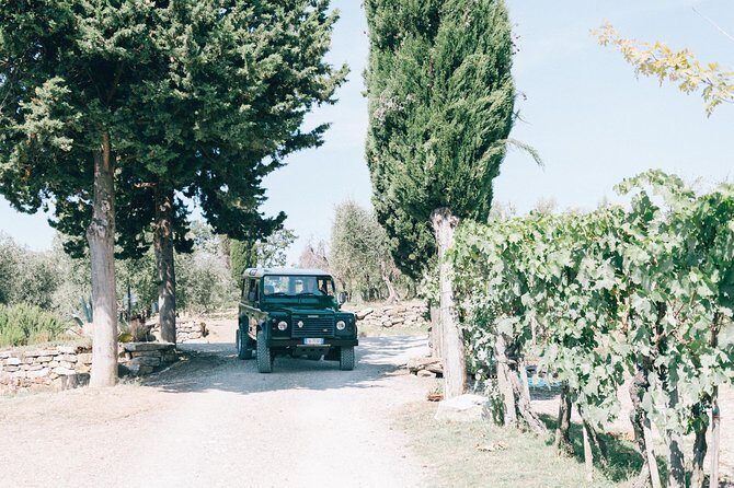 Private Off Road Wine Tour in Chianti - The family-run winery picnic lunch: a break that actually feels like a break