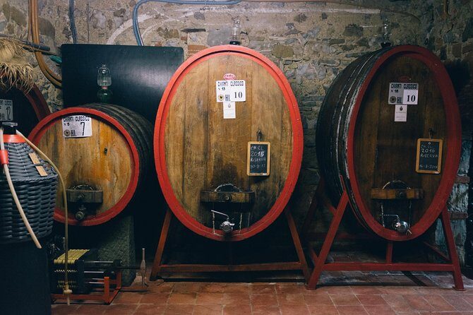 Private Off Road Wine Tour in Chianti - Who should book this private off-road wine day?