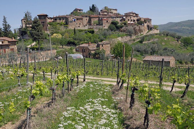 Private Siena to Florence Chianti and San Gimignano Transfer Tour - Timing, Tickets, and Simple Planning Tips