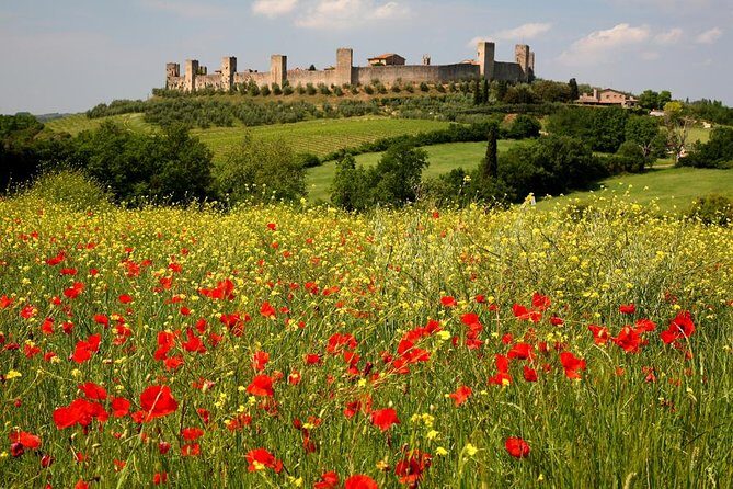 Private Tour: Guided Hike in Tuscany with Transport from Siena - A quick hit of Via Francigena: pilgrims and a long route