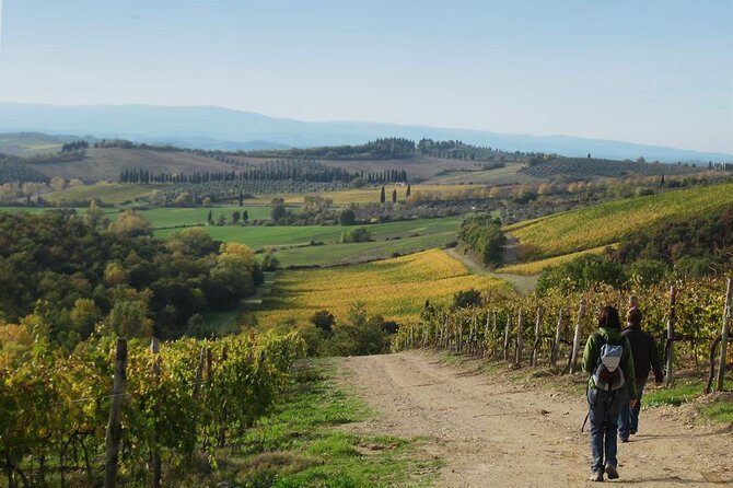 Private Tour: Guided Hike in Tuscany with Transport from Siena - Price and value: what you’re really paying for at $381.25