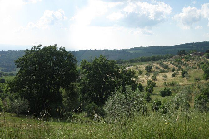 Private Tour: Guided Hike in Tuscany with Transport from Siena - Who this tour fits best (and who should skip it)