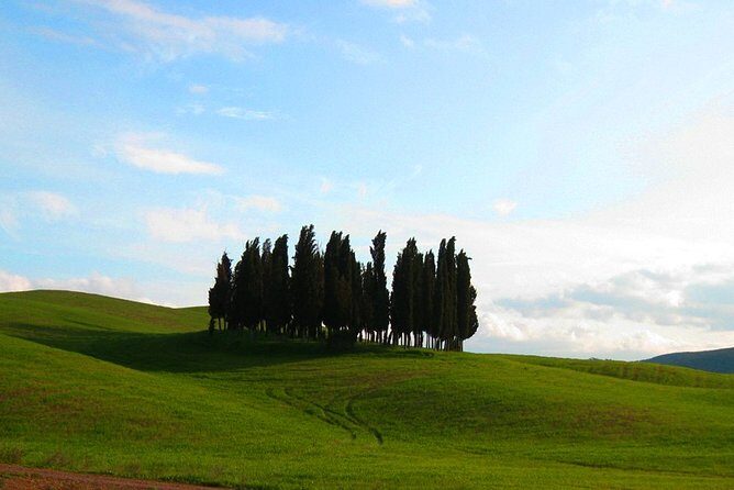 Private Tour: Pienza and Montalcino Organic Cheese and Wine Tour - Private door-to-door pickup through UNESCO Val d’Orcia